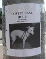 Lost Pet Poster